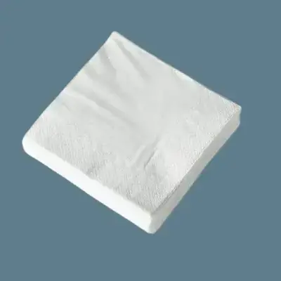 Napkin 12 X 12 2 Ply (50pc)